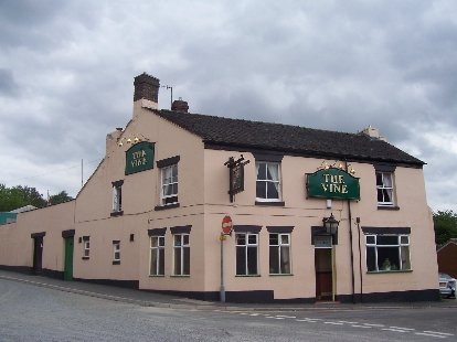 The Vine