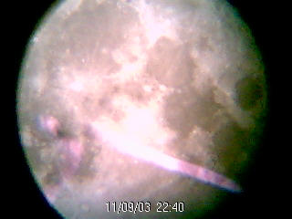 Full Moon