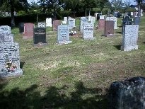 Mum's Grave