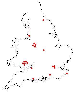 UK Map